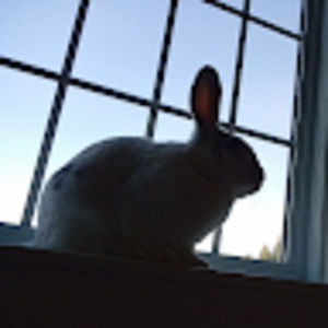 Meet your Posher, Paige